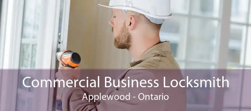 Commercial Business Locksmith Applewood - Ontario