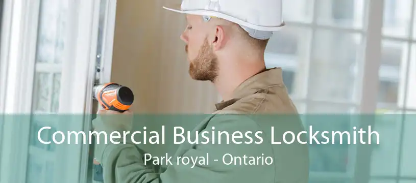 Commercial Business Locksmith Park royal - Ontario