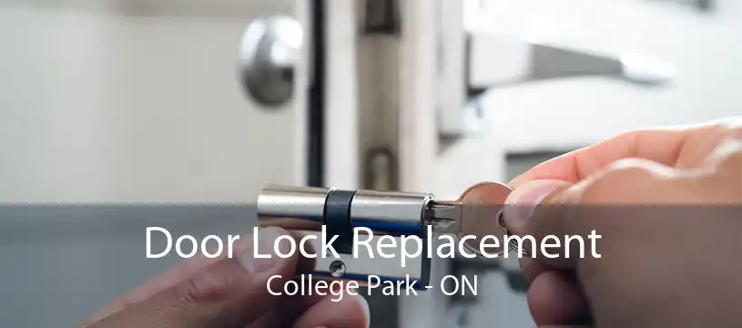 Door Lock Replacement College Park - ON