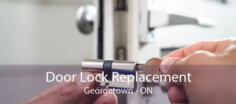 Door Lock Replacement Georgetown - ON