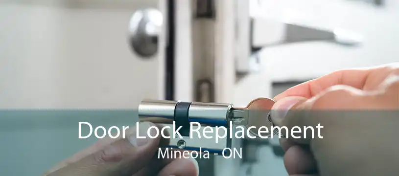 Door Lock Replacement Mineola - ON