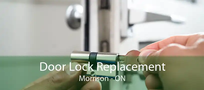 Door Lock Replacement Morrison - ON