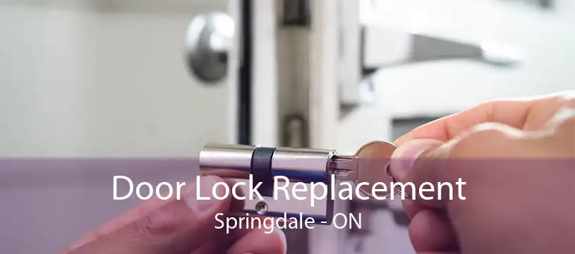 Door Lock Replacement Springdale - ON