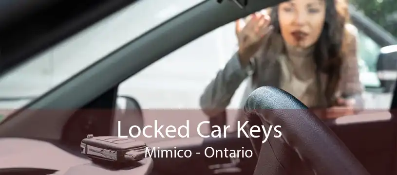 Locked Car Keys Mimico - Ontario