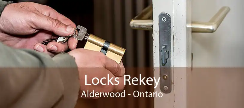 Locks Rekey Alderwood - Ontario