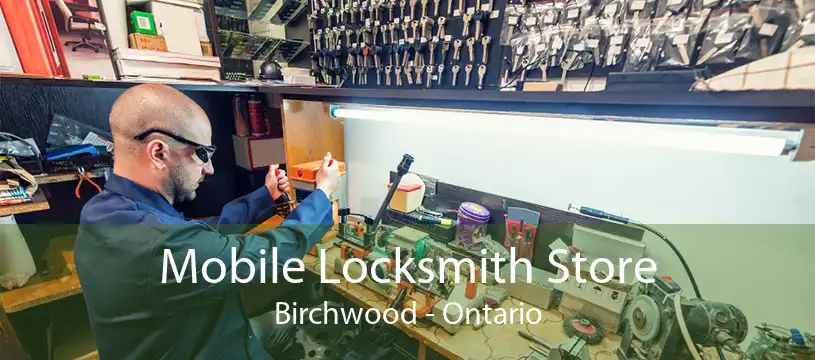 Mobile Locksmith Store Birchwood - Ontario