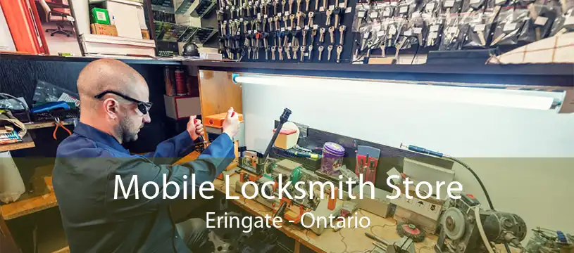 Mobile Locksmith Store Eringate - Ontario